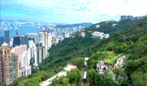 🧳 Top Muslim-Friendly Attractions in Hong Kong