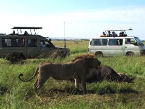 🦓 Halal Safari Adventures in Kenya